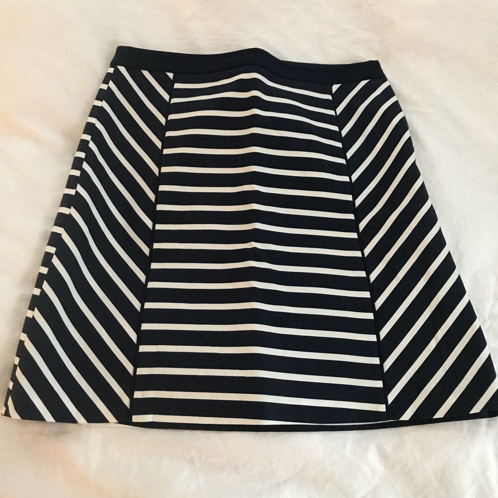 Skirt from the Limited